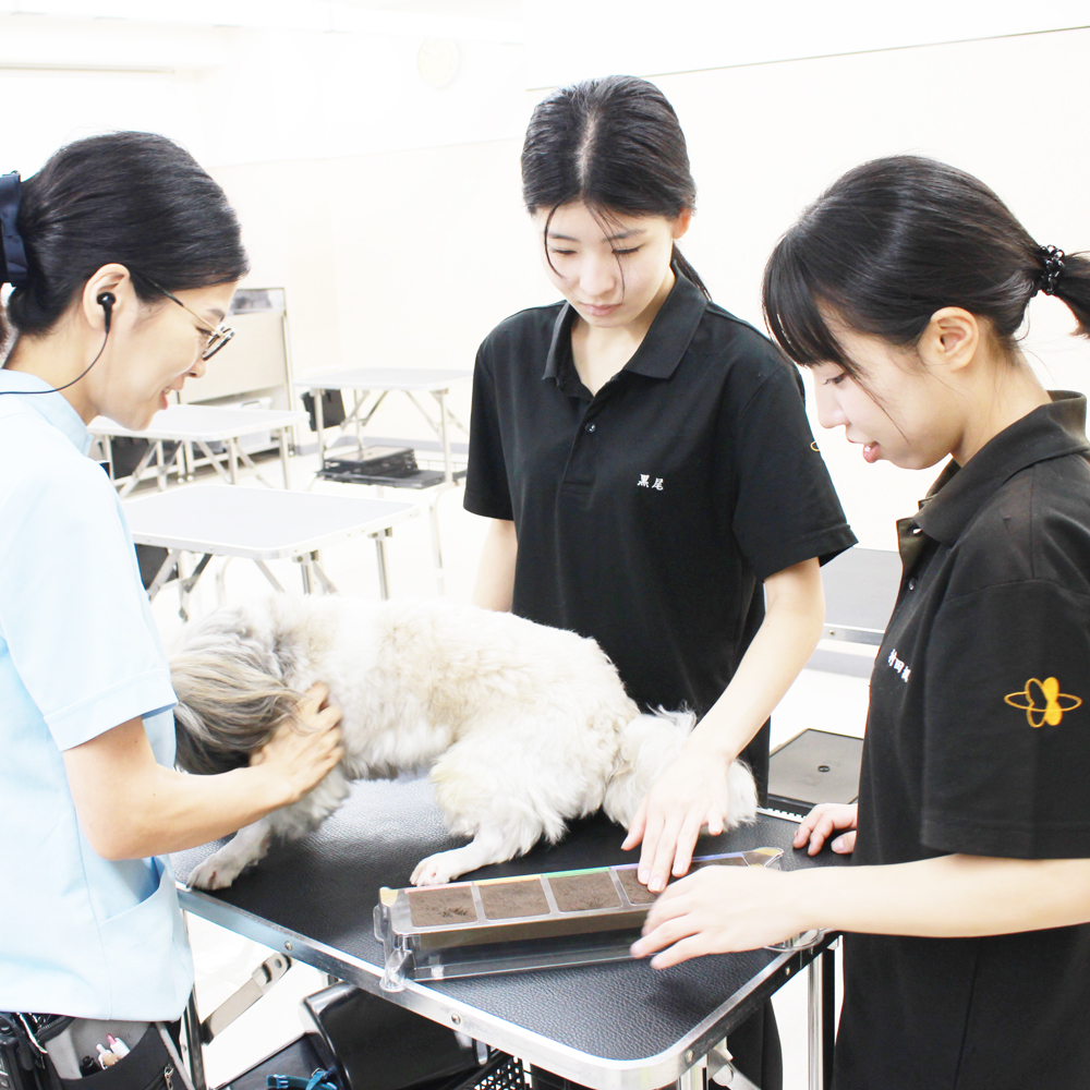 動物看護実習☆